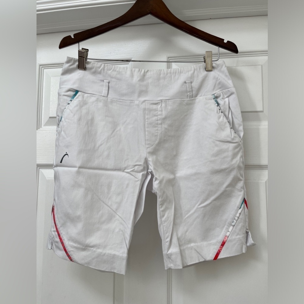 Swing Dish shorts size large